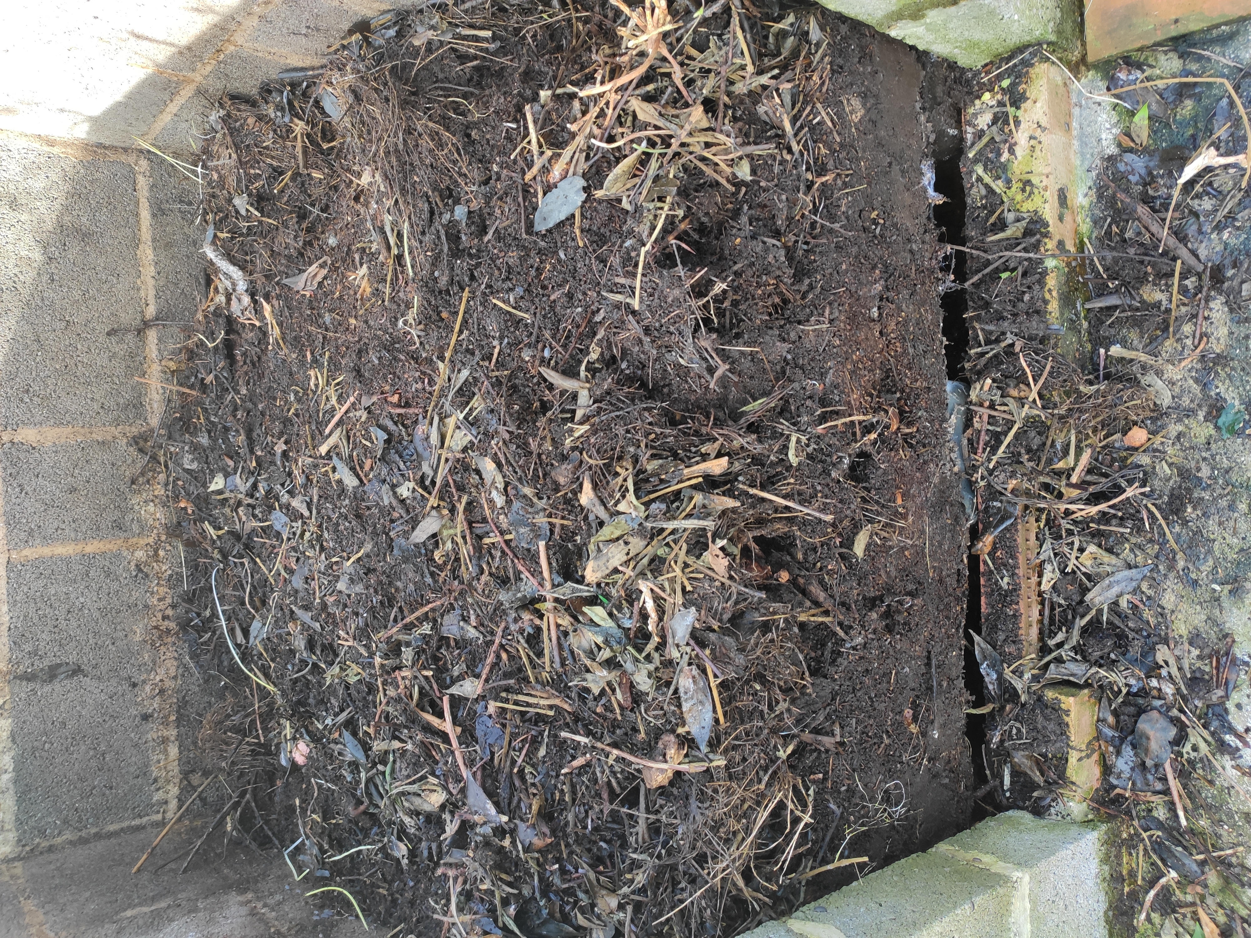 Finished compost.